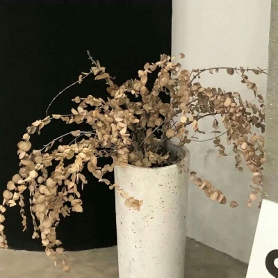 宁强福瑞交流群